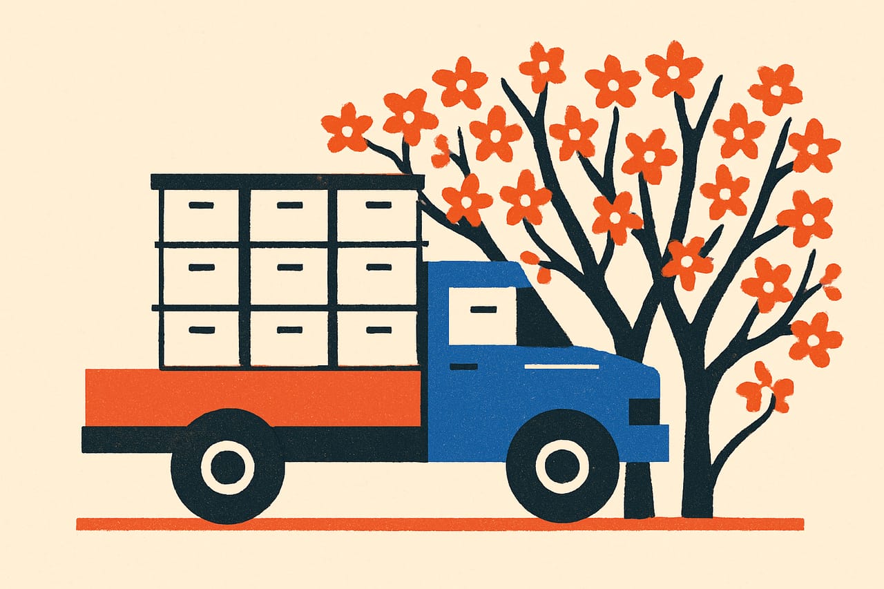 Almonds need a near-nationwide migration of bees
