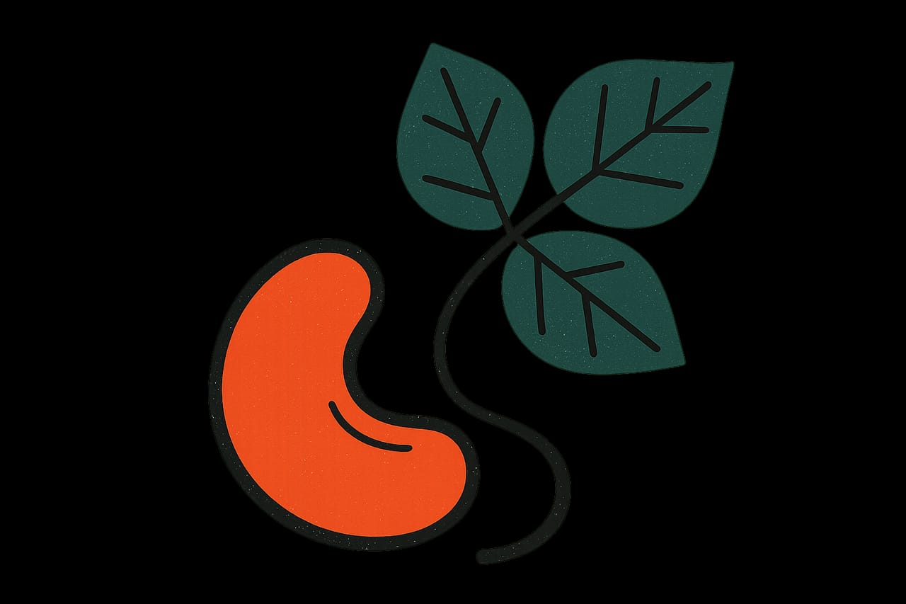 Cashews Are Kin to Poison Ivy and Must Be Heated