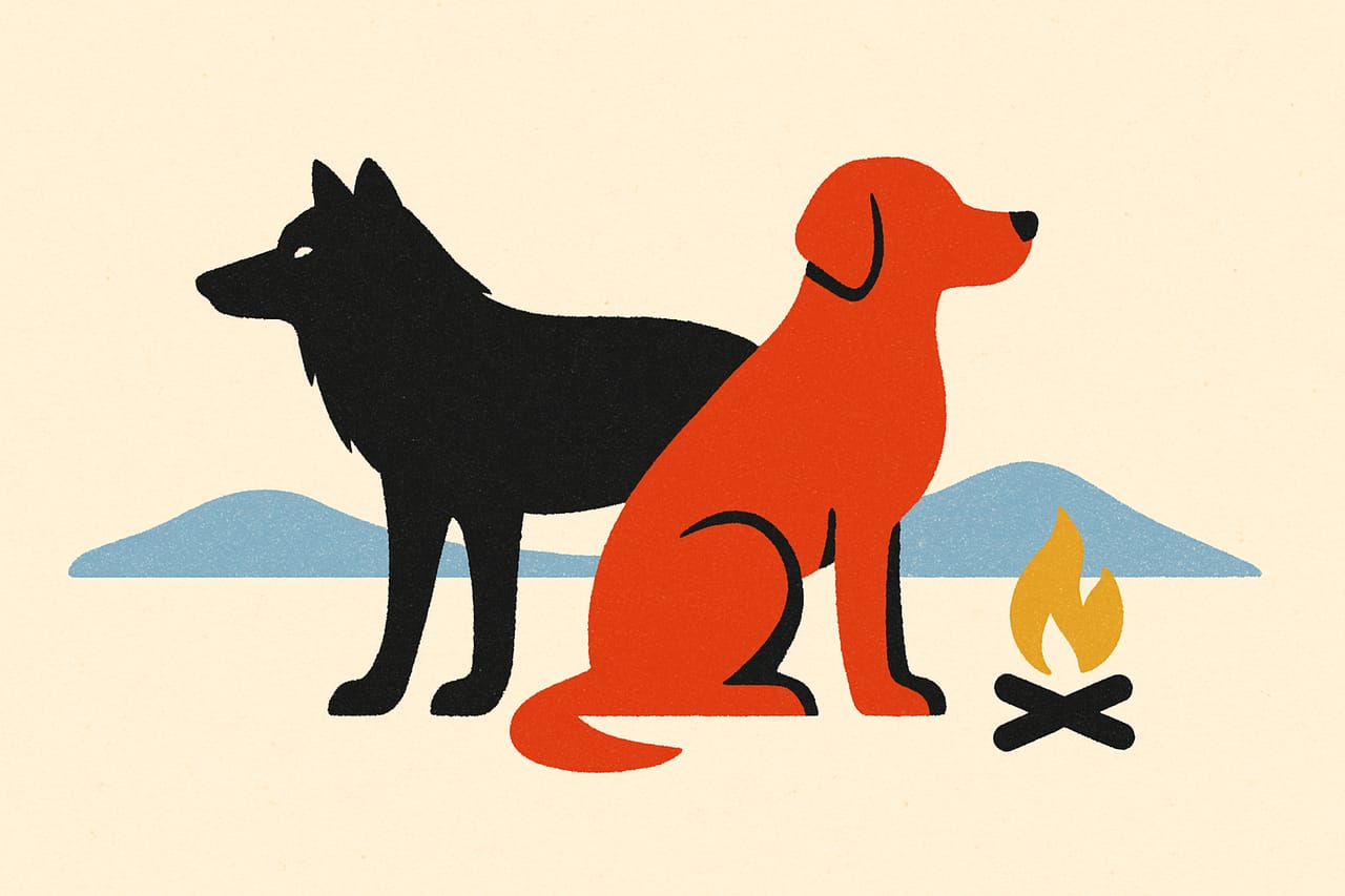 Dogs Were the First Animal Humans Ever Domesticated
