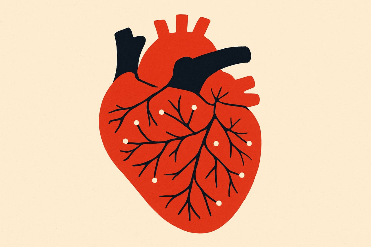 Your Heart Has Its Own Little Brain